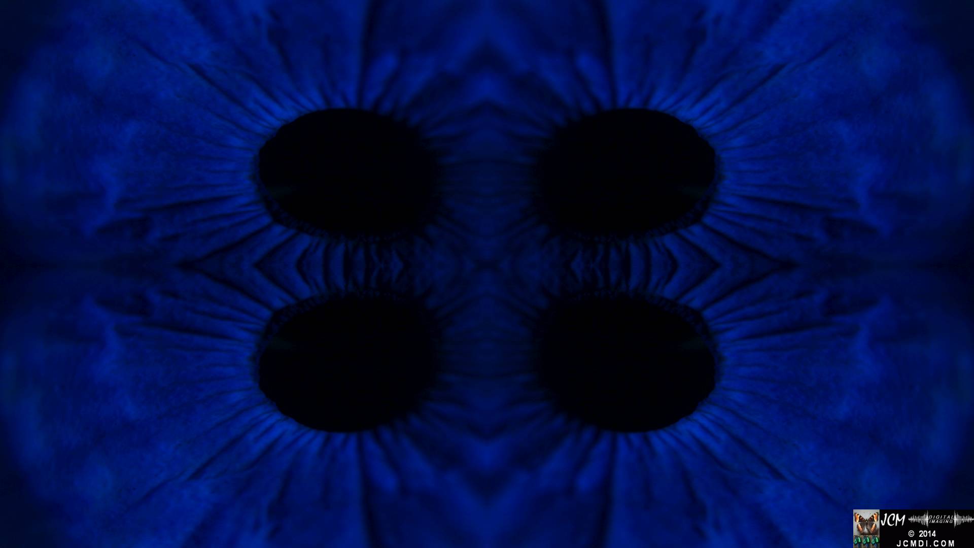 Quadroscopic Artwork made from an image of a real human eye